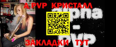 индика Обнинск