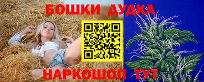 индика Обнинск