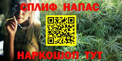 индика Обнинск