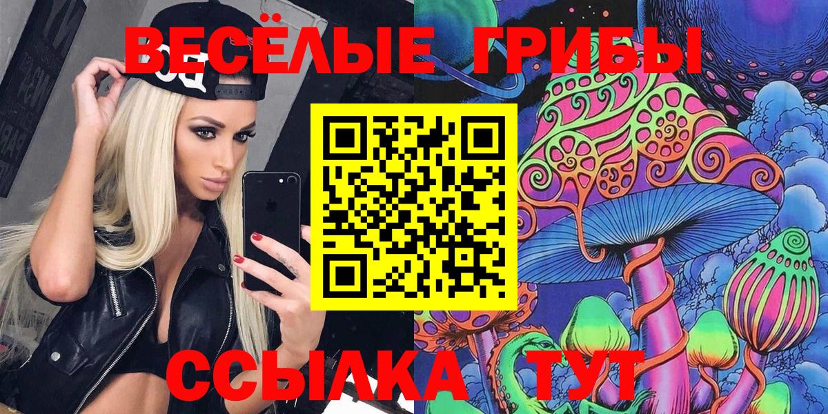Псилоцибиновые грибы MAGIC MUSHROOMS Сосновый Бор