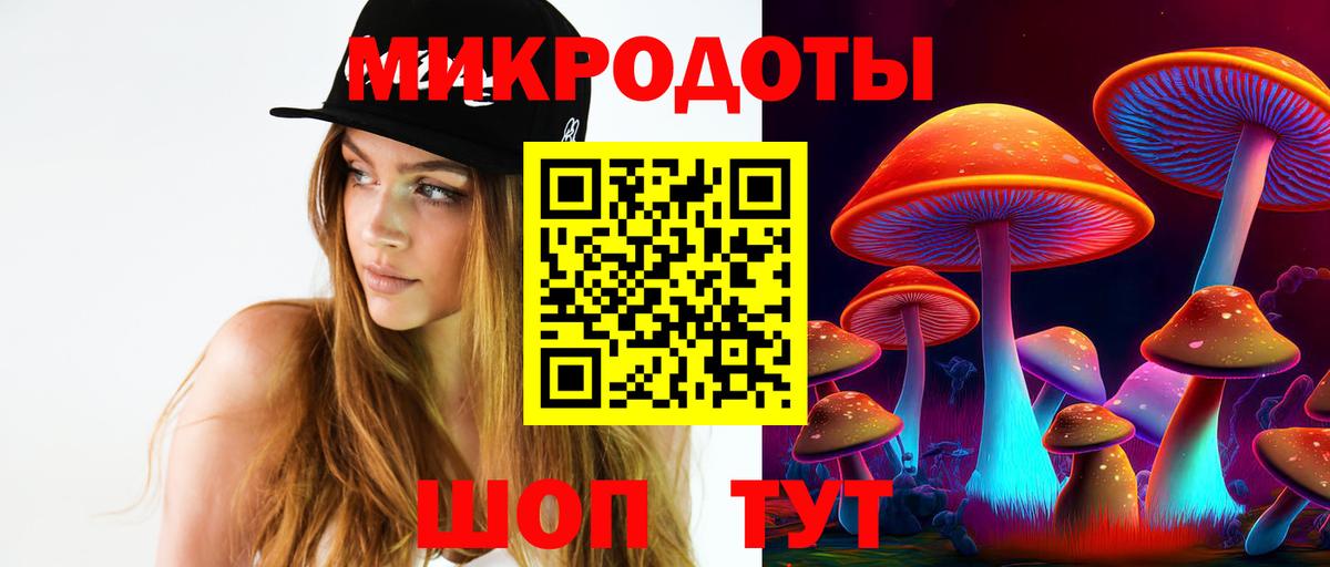 Сосновый Бор  Псилоцибиновые грибы мицелий  Вход с VPN 
